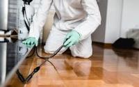 Pest Control Maroochydore image 3